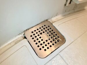 排水口を綺麗にしたい