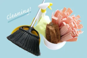 日常的なお掃除を希望